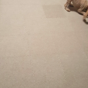 ずる賢い子☆の画像