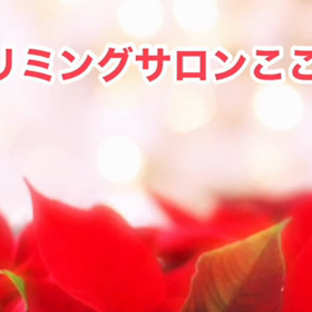 12月　〜スライドショー〜の画像