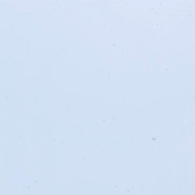 ❄️春の雪❄️の画像