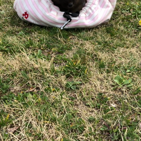 初めての場所で何を思うか？それって結構大切です。の画像