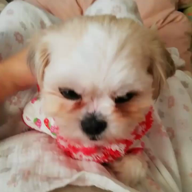 マッサージ♪の画像