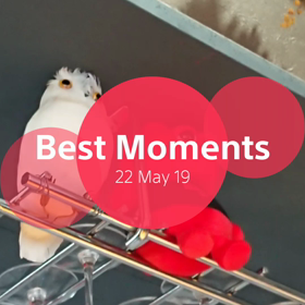 今日のランチの画像