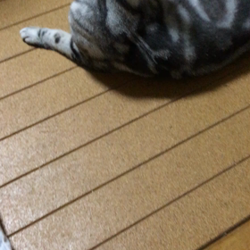 いつまで続くの？の画像