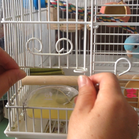 元気になってるね❗️の画像