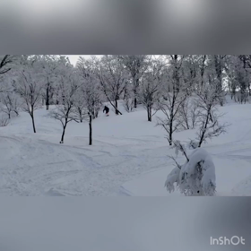 北月山バックカントリーの画像