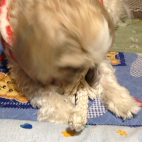 おわりましたの画像