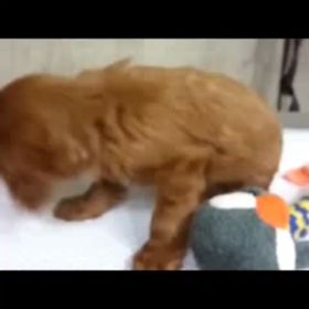 会いに行きます❤の画像