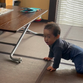 ハイハイの画像