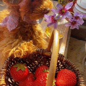 今年の春の画像