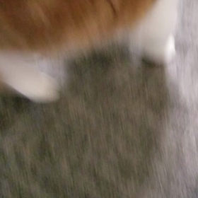 *冬はインドア？アウトドア？*の画像