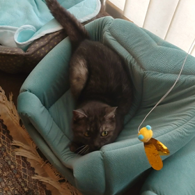 まだまだ♪の画像