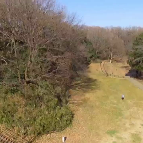 ドローン始動しましたの画像