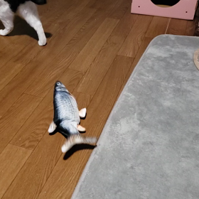 シュールの画像