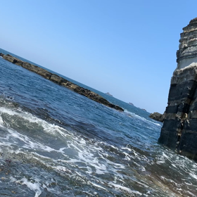 嫌いな人は（今後の）サンプルの画像