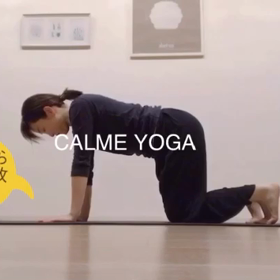 ダウンドッグ (下向きの犬)のポーズの画像