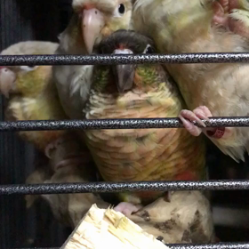 おやすみの画像