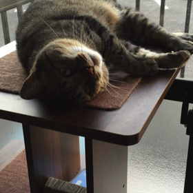 朝〜 起きよっかなぁ・・・の画像