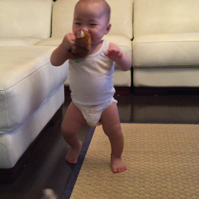 けんぽぴ、歩き始めたよ。の画像