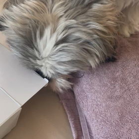 正直不動産　第1話から4話の画像