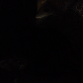 見届けたい成長。母子の命。の画像