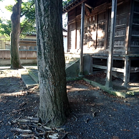 ☆ニャン吉物語・国際反戦デー編☆の画像