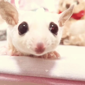 平成最後のblog令和もよろしくお願いします！の画像