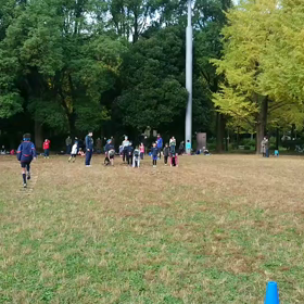 ダッシュ(緑チーム)⑥の画像