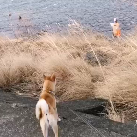 草を食べながらの画像