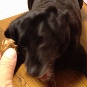 懐かしい動画の画像