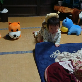 ハイハイ　ｷﾀ━━━━(ﾟ∀ﾟ)━━━━!!の画像