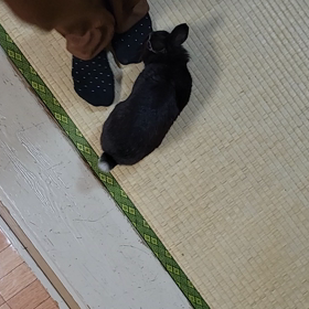 うれションの画像