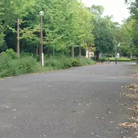 クラブ交流 女子リレー選考会③の画像