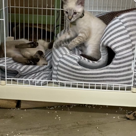 これは…の画像