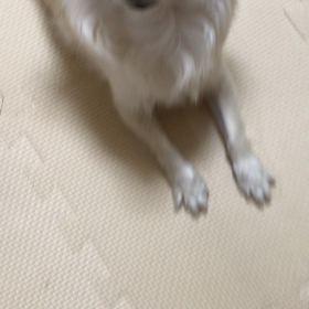 あーいい匂いの画像