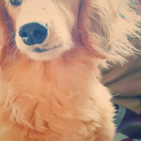 誰にも渡さない×U^ェ^Uの画像