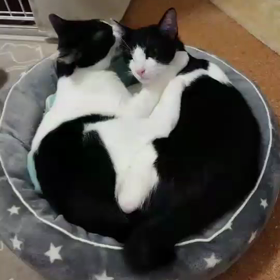 仲良し♡の画像