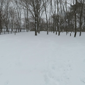お正月～那須旅②～の画像