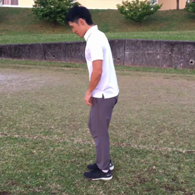 『プッシュアップチャレンジ』の画像