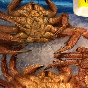 言葉って面白いねの画像