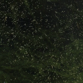 スクスクと…の画像