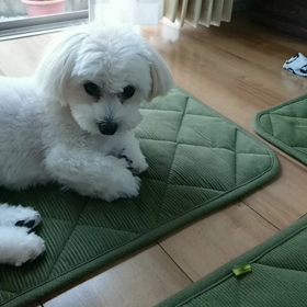 日焼けしたなぁの画像