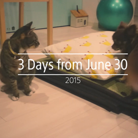 たまにはね。の画像