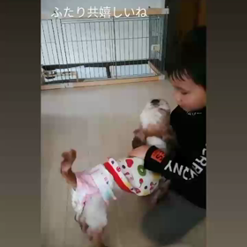 ふれあいの画像