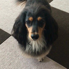 約50秒お付き合い下さい(^^;;の画像