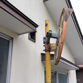 うちのスズメの画像