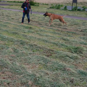 お尻に火がついてるのm(。≧Д≦。)mの画像