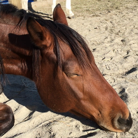 気持ちいい〜！の画像