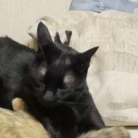 楽しい週末でしたの画像