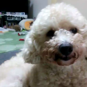 眠気が来た～！の画像