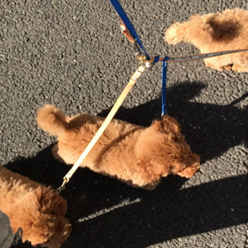 貴重な晴れ間の画像